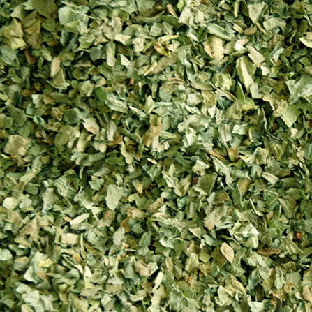 Basil