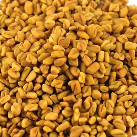 Fenugreek Seeds