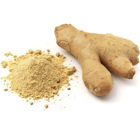 Ginger