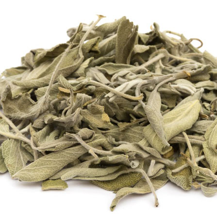 Sage
