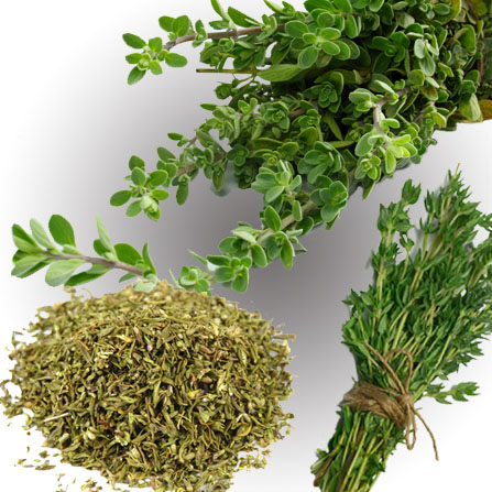 Thyme
