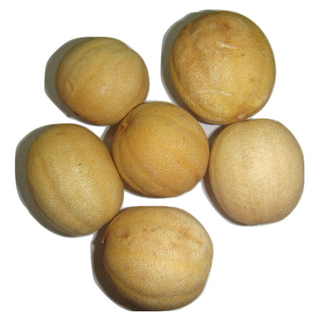 Yellow Lemon